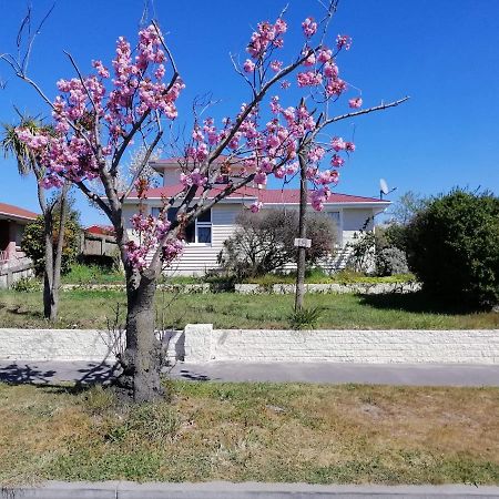 Homestay Triple Room, Near The City Center Christchurch Kamer foto